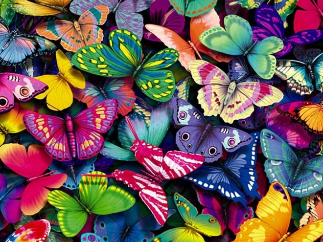 Butterflies-rose-hd-wallpaper